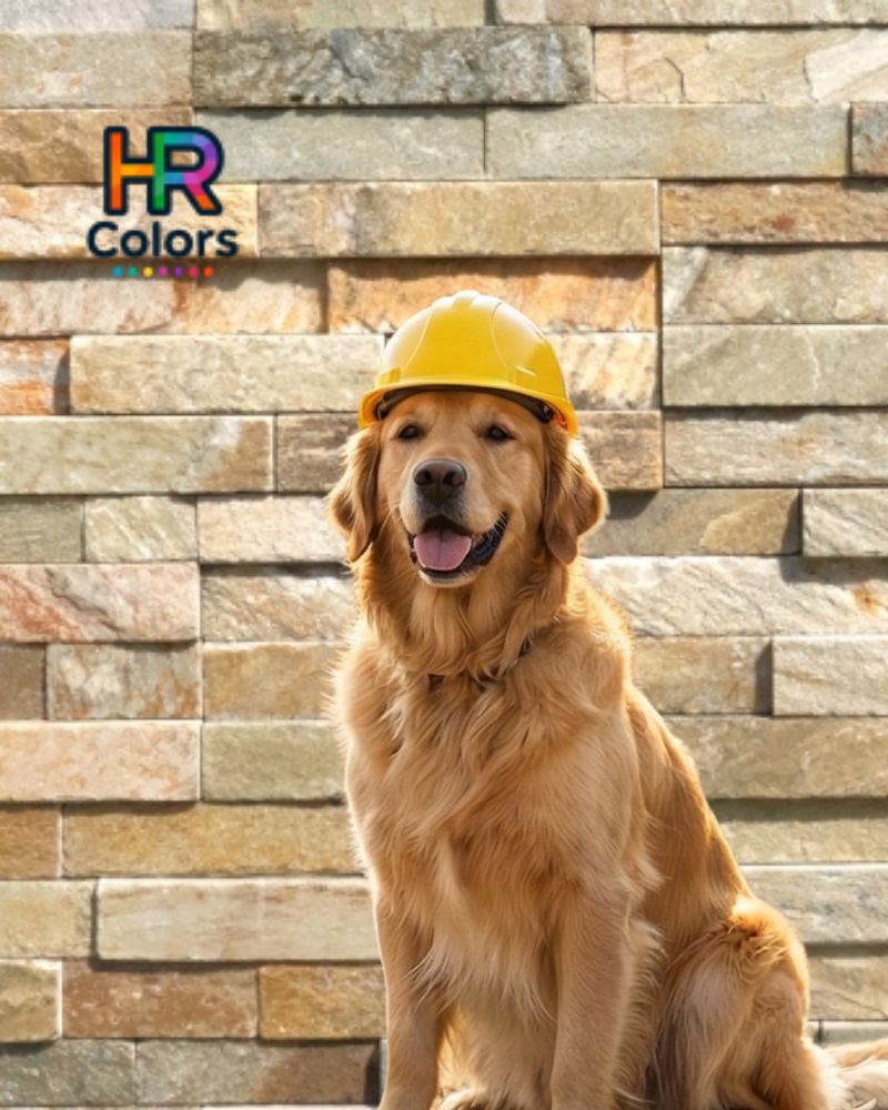 HRカラーズ代表 井上 駿